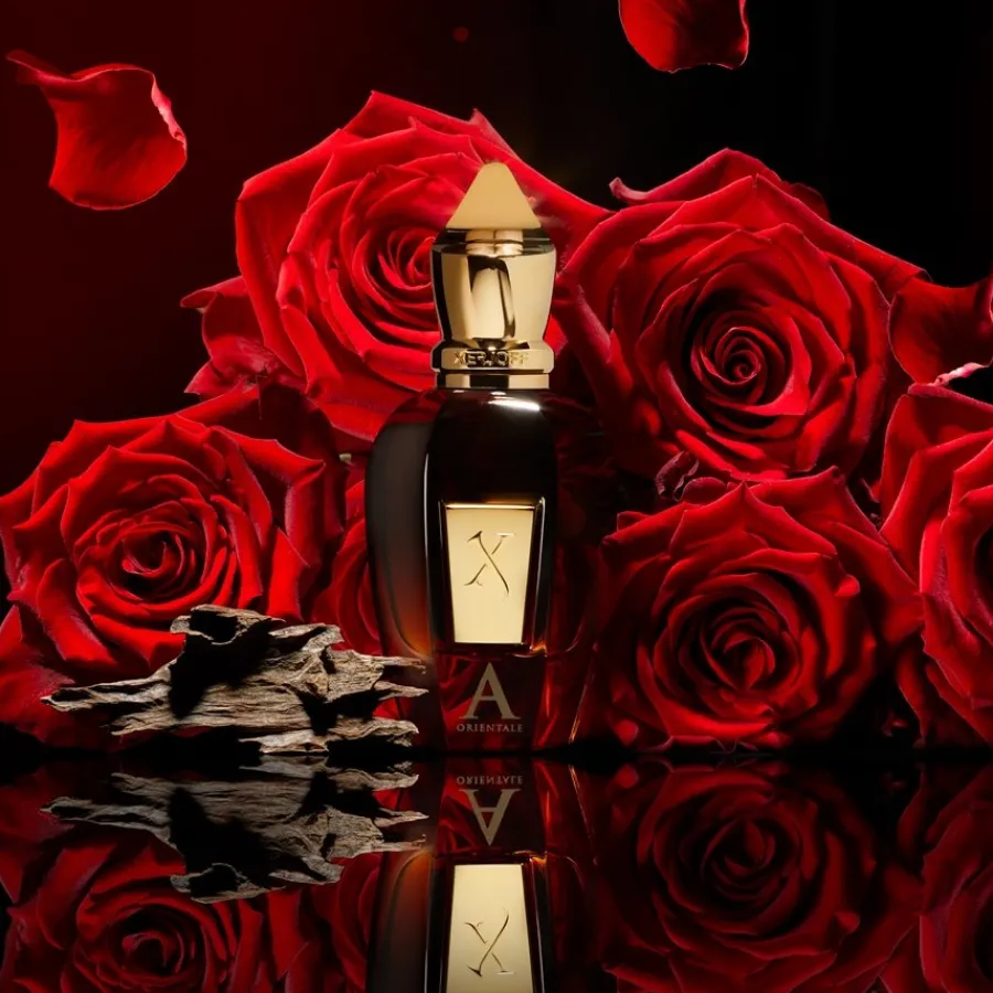 XERJOFF Oud Stars Collection Alexandria Orientale Eau de Parfum Spray Clearance