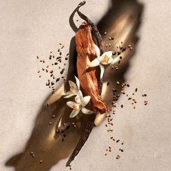 Zadig u0026 Voltaire Zadig Shower Gel von Zadig & Voltaire