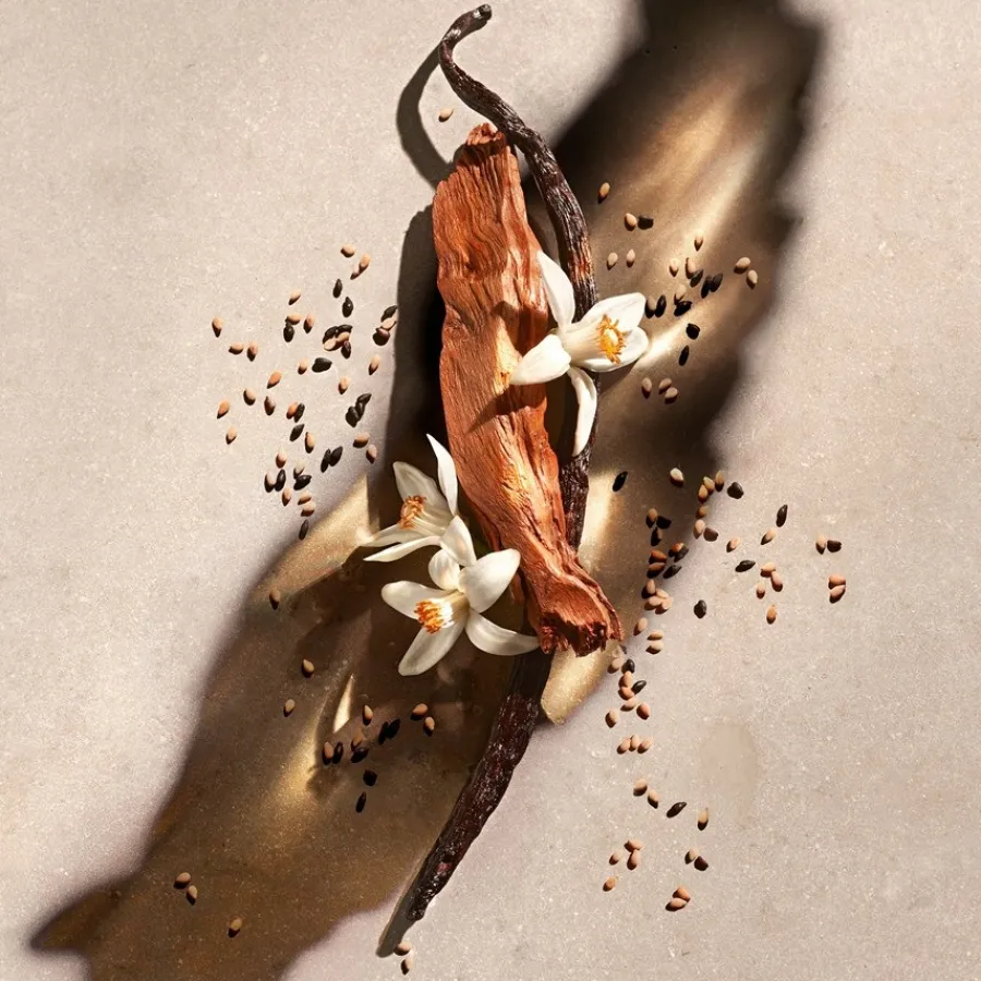 Zadig u0026 Voltaire Zadig Shower Gel von Zadig & Voltaire