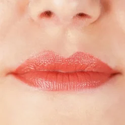 Zao Classic Lipstick Best