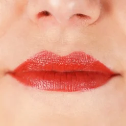 Zao Classic Lipstick Best